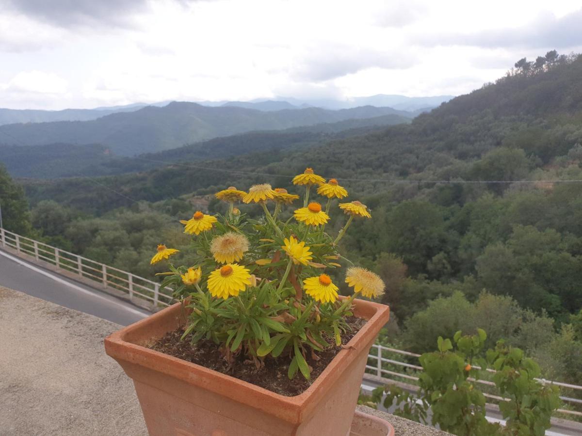 Bed & Breakfast Ca' Di Vissai Arnasco Luaran gambar
