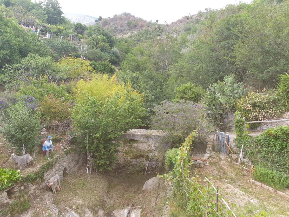 Bed & Breakfast Ca' Di Vissai Arnasco Luaran gambar