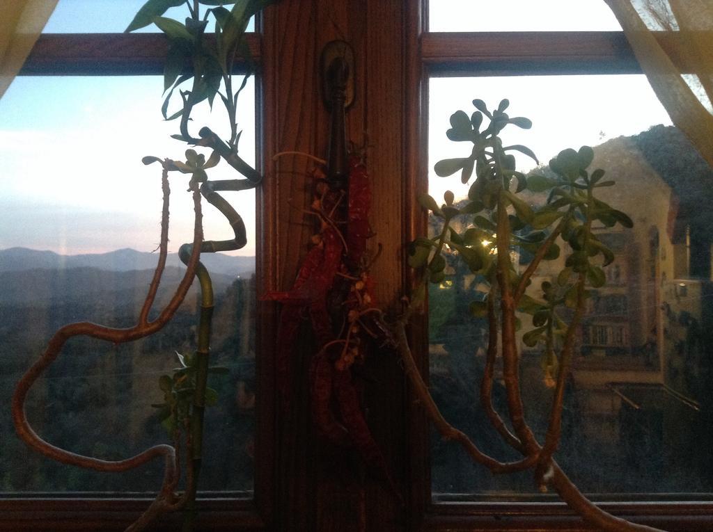 Bed & Breakfast Ca' Di Vissai Arnasco Luaran gambar