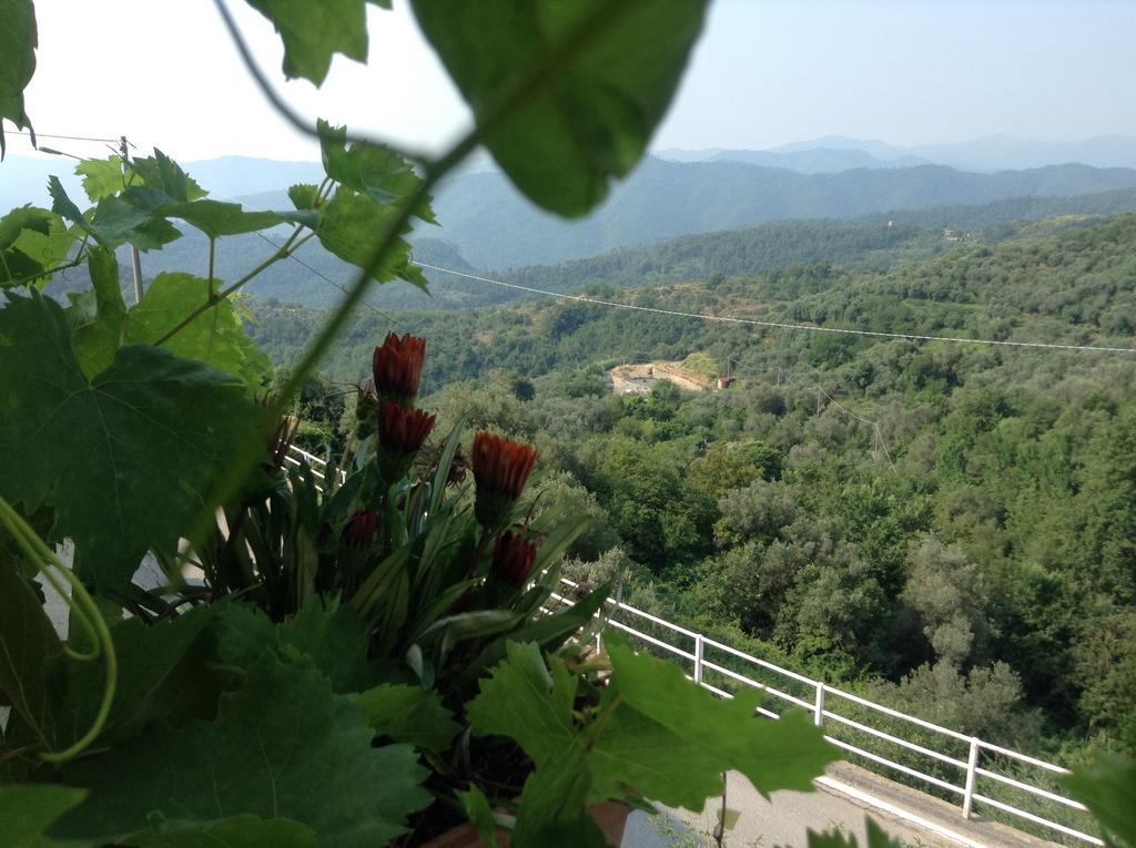 Bed & Breakfast Ca' Di Vissai Arnasco Luaran gambar