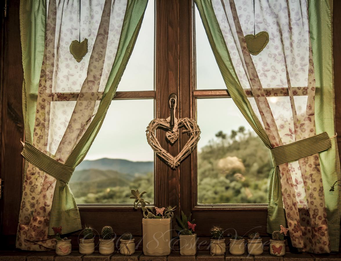 Bed & Breakfast Ca' Di Vissai Arnasco Luaran gambar