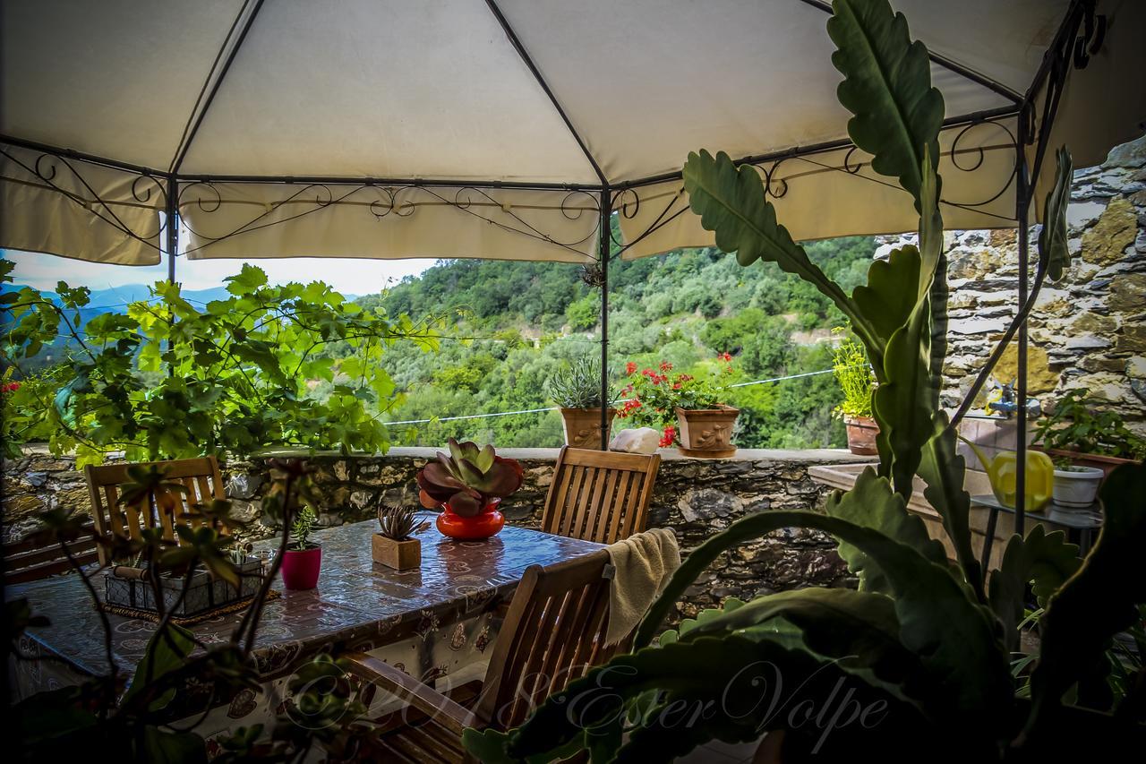 Bed & Breakfast Ca' Di Vissai Arnasco Luaran gambar